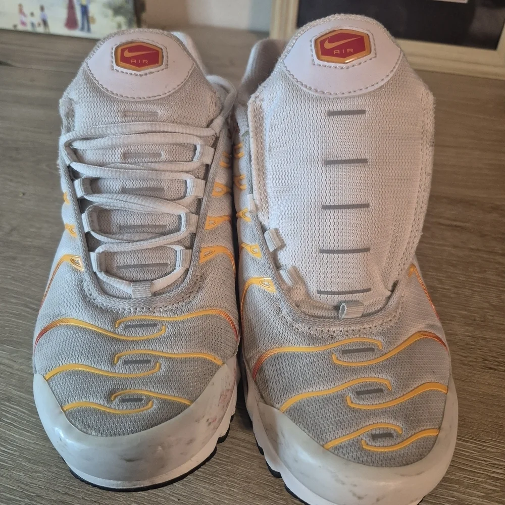 Nike Air Max Plus Sneakers(One shoelace is missing and it needs to be cleaned)